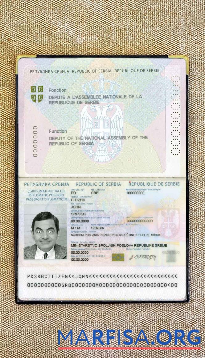 Downloadable Serbia diplomatic passport (2008 2016) photo look real example